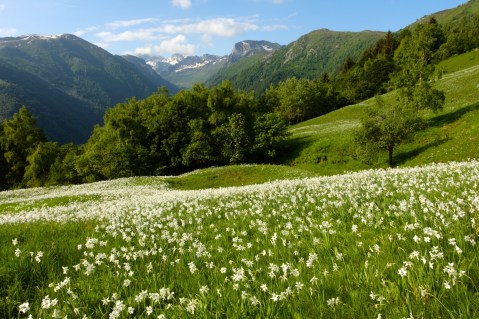 cuneotrekking-primavera